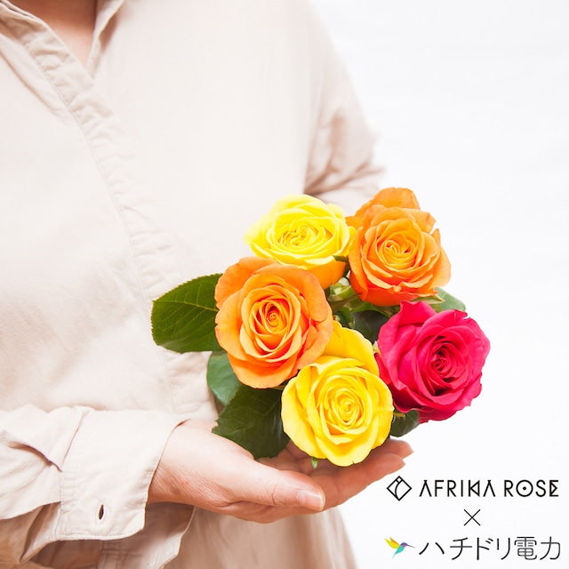 ハチドリのひとしずく