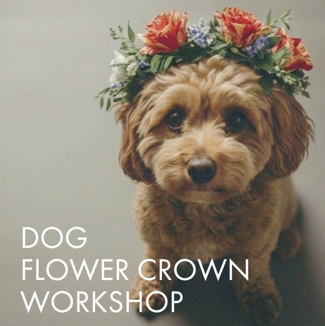 DOG FLOWER CROWN WORKSHOP