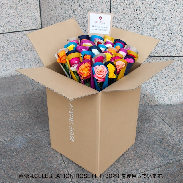 CELEBRATION ROSE【L】(30本)