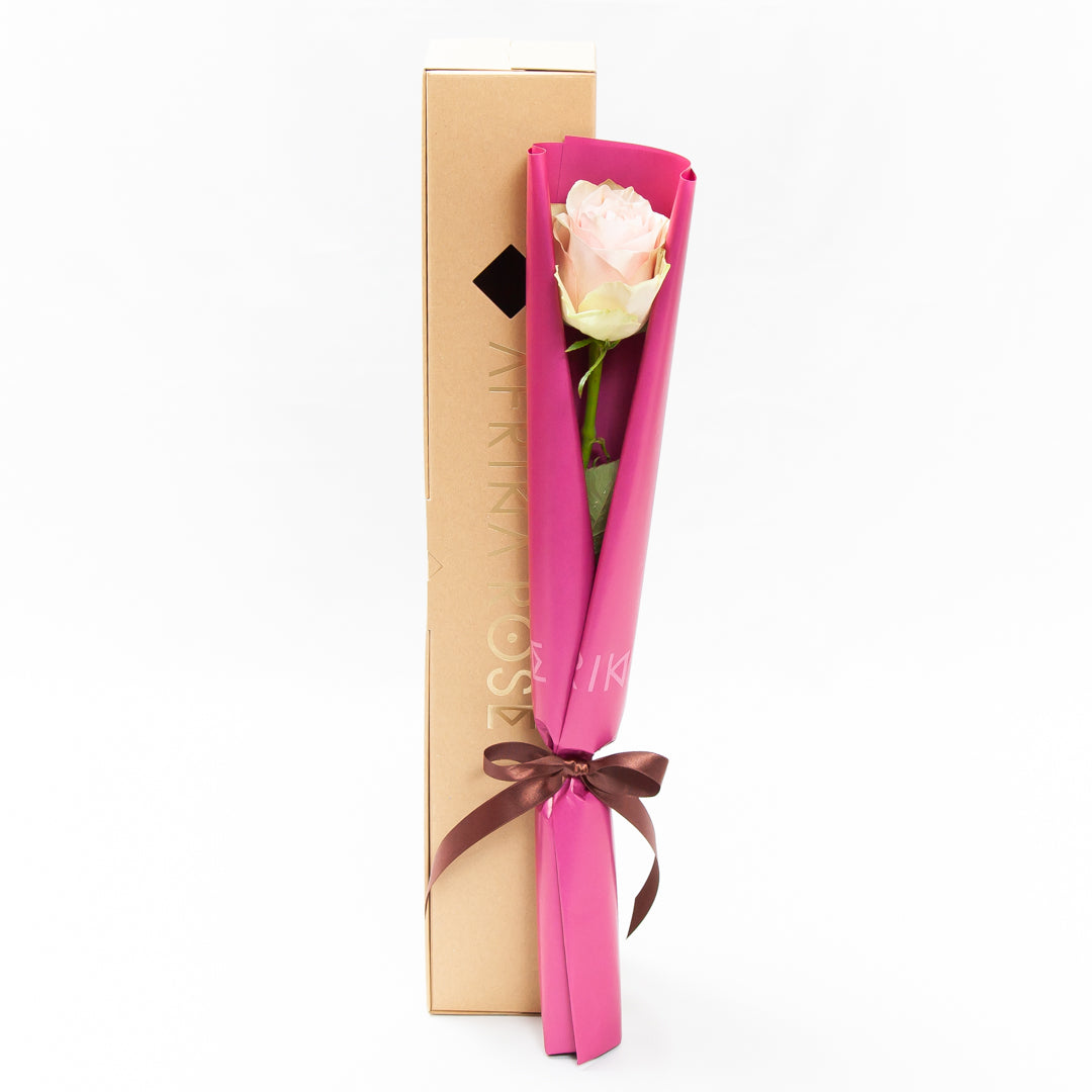 月々5,500円の応援で、毎月1輪のバラを受け取る/贈る