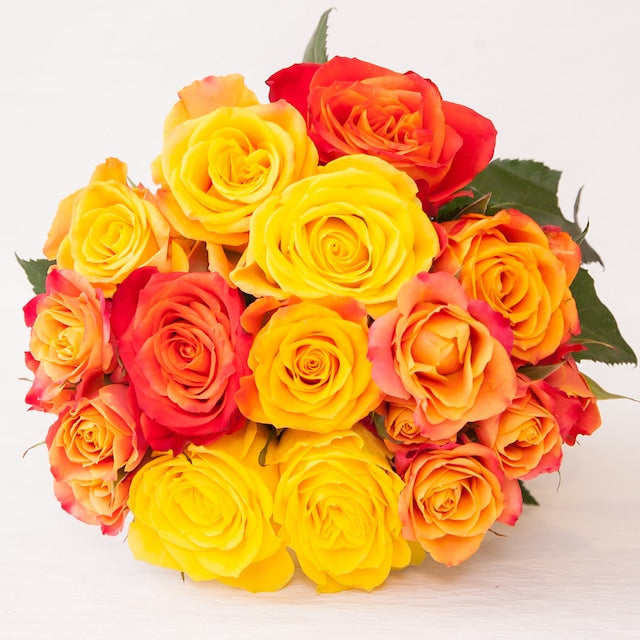 ビッグスマイル – AFRIKA ROSE