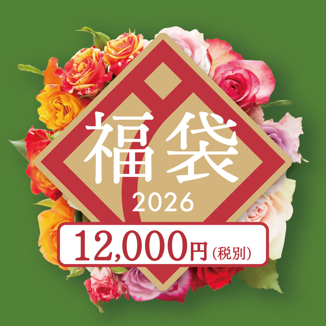 【お届け日限定】2025年「福袋」12,000円