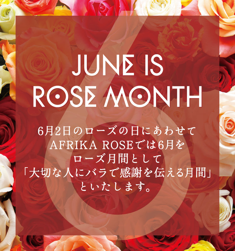 オンラインショップ 〜AFRIKA ROSE ONLINE SHOP〜