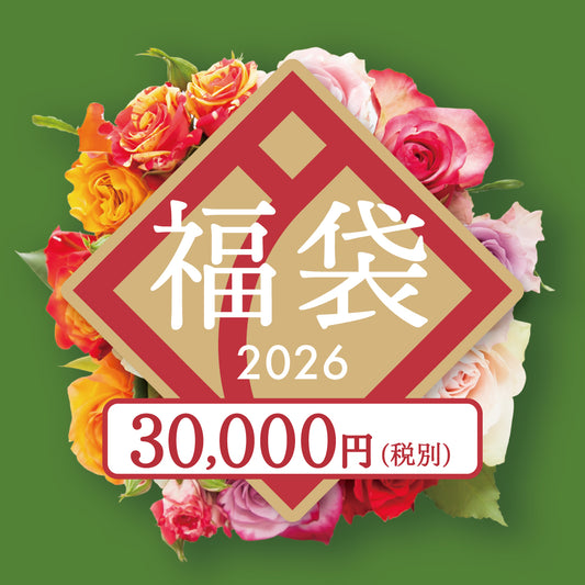 【お届け日限定】2025年「福袋」30,000円