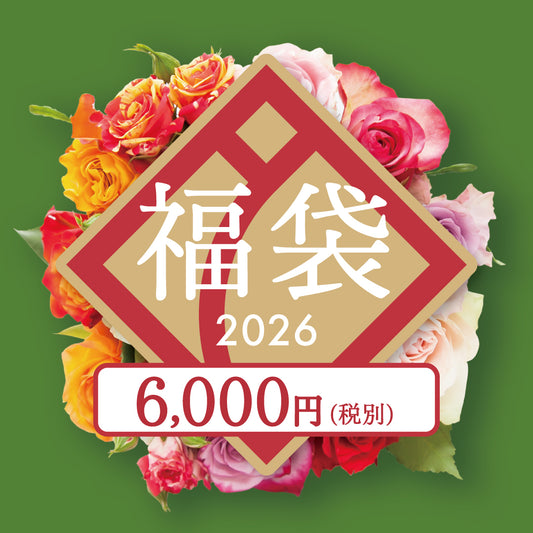 【お届け日限定】2025年「福袋」6,000円