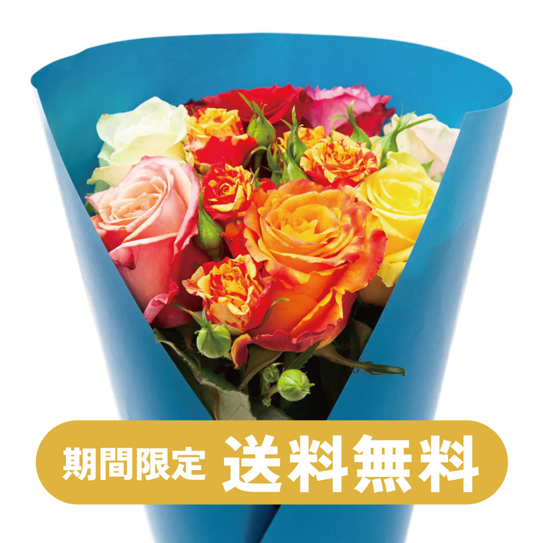 【送料無料】AFRIKA ROSE MIX