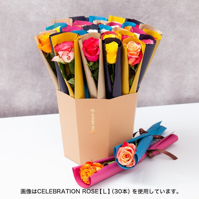 CELEBRATION ROSE【S】（18本） – AFRIKA ROSE