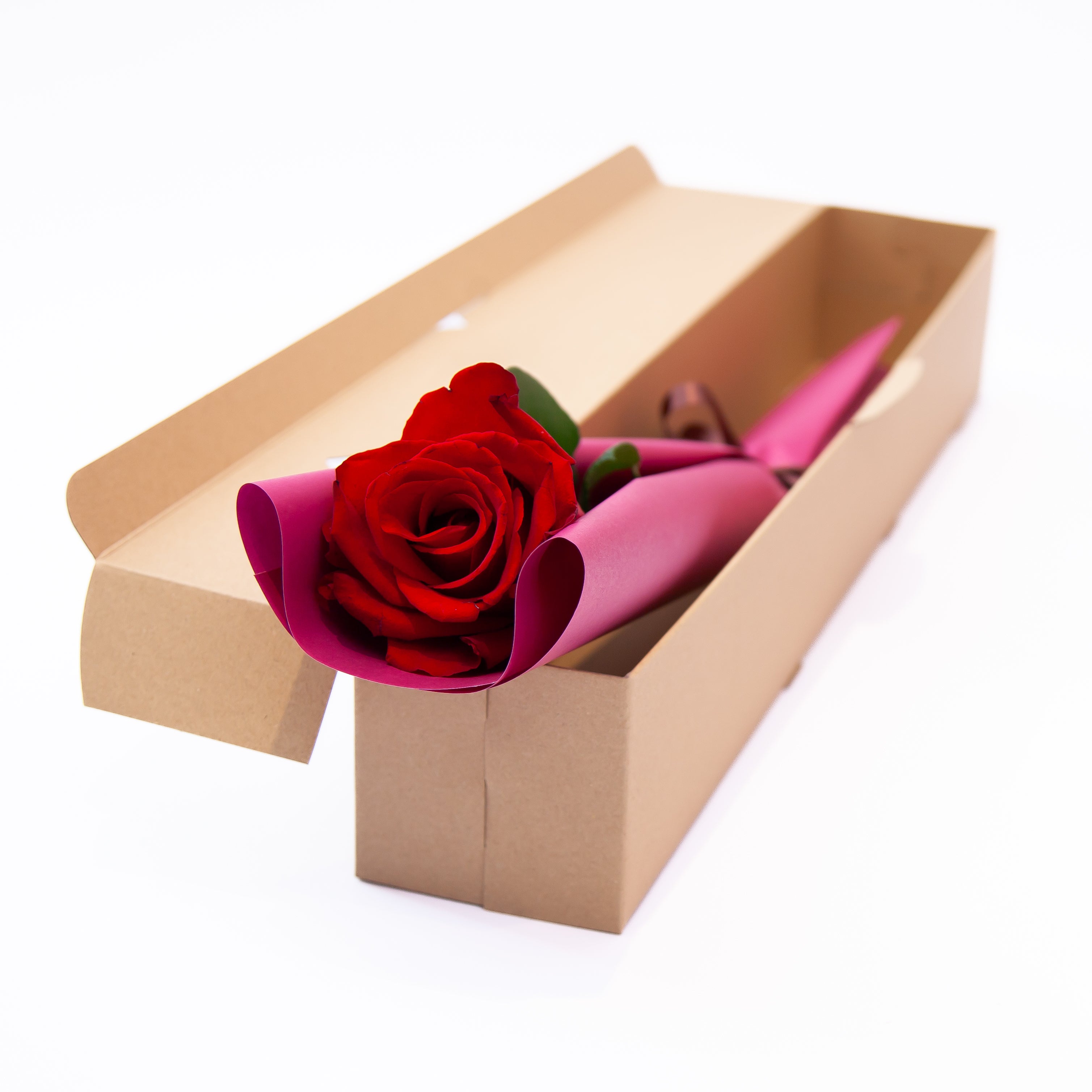 1輪ROSE/1輪ギフトBOX – AFRIKA ROSE