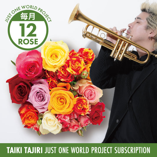 【田尻大喜】毎月届くAFRIKA ROSE 定期便 M［送料込み］