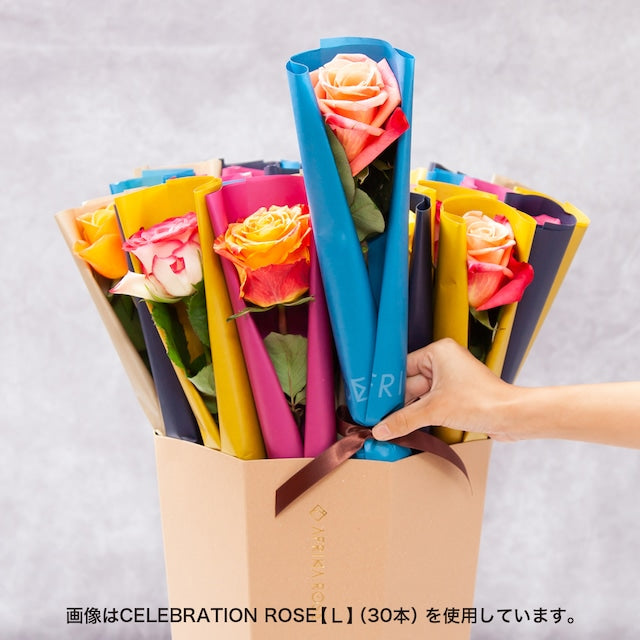CELEBRATION ROSE【S】（18本） – AFRIKA ROSE