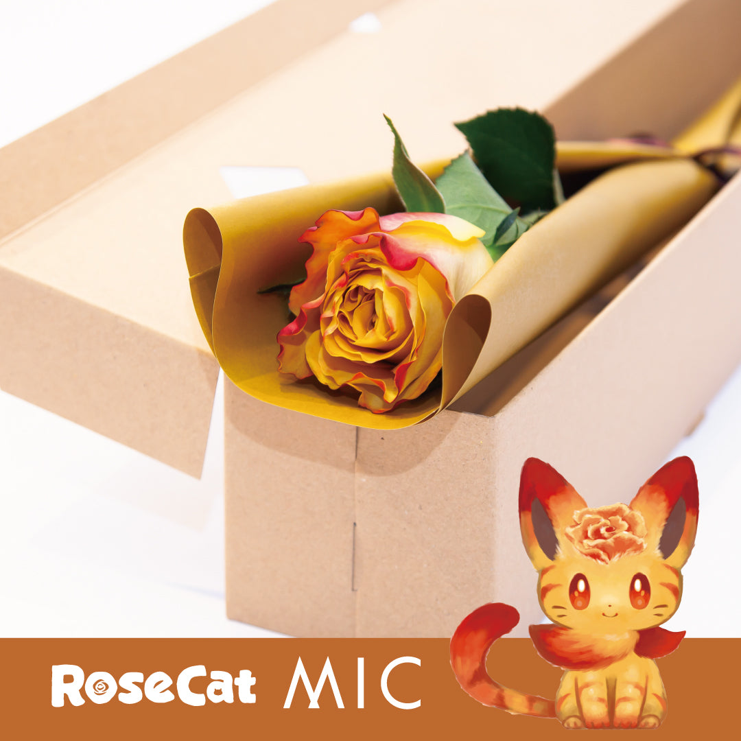 ［ROSE CAT MIC］1輪ギフトBOX