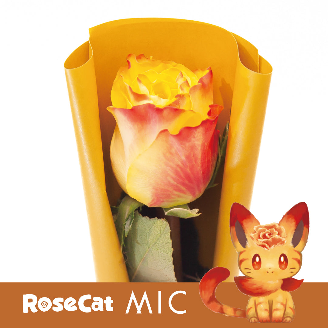 ［ROSE CAT MIC］1輪ギフトBOX