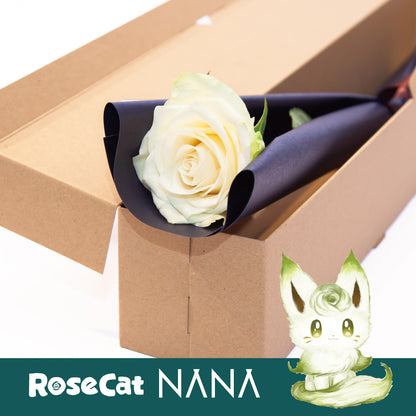 ［ROSE CAT NANA］1輪ギフトBOX