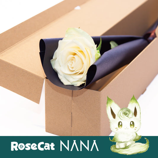 ［ROSE CAT NANA］1輪ギフトBOX