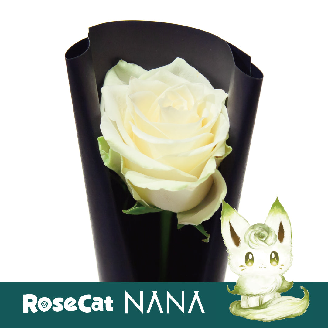 ［ROSE CAT NANA］1輪ギフトBOX