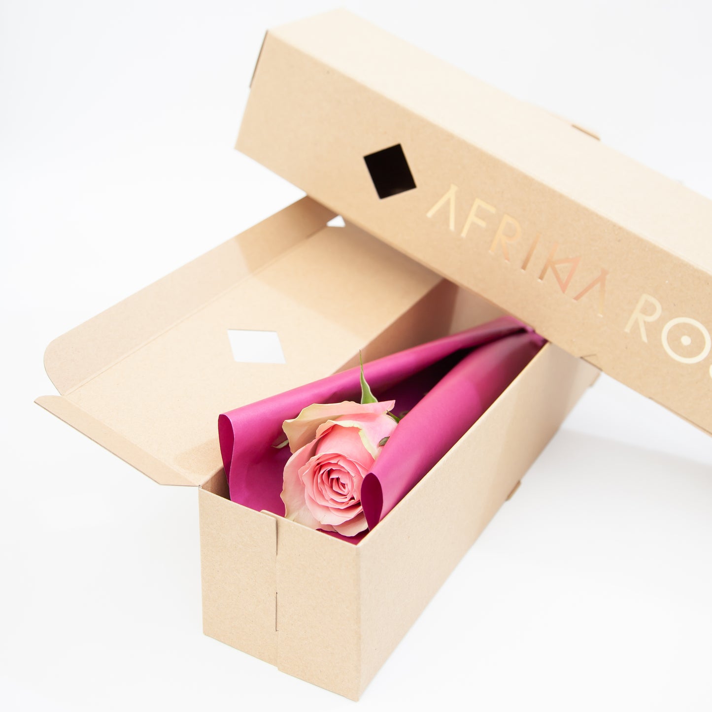 1輪ギフトBOX