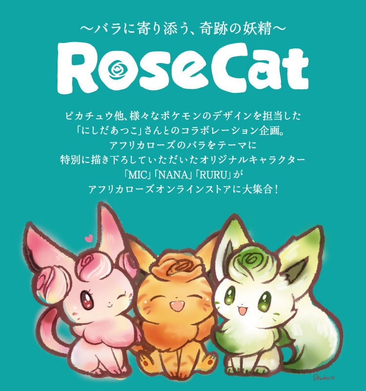 オンラインショップ 〜AFRIKA ROSE ONLINE SHOP〜