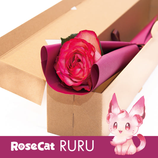 ［ROSE CAT RURU］1輪ギフトBOX